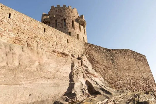 EXCURSIÓN VILAFAMÉS