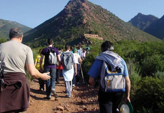 EXCURSIÓN DESIERTO DE LAS PALMAS