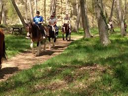 MONTAR A CABALLO EN LA NATURALEZA