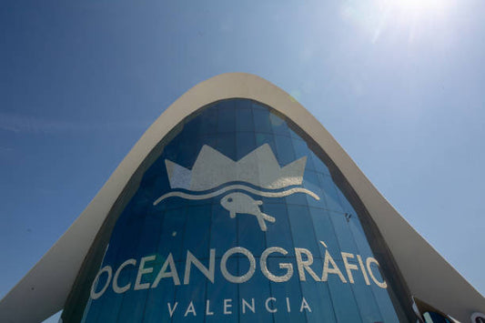 EXCURSIÓN OCEANOGRÁFICO