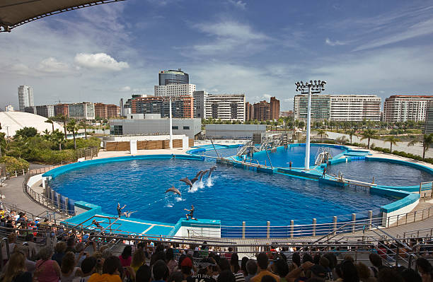 EXCURSIÓN OCEANOGRÁFICO