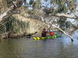 KAYAK DELTA DEL EBRO