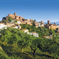 EXCURSIÓN VILAFAMÉS