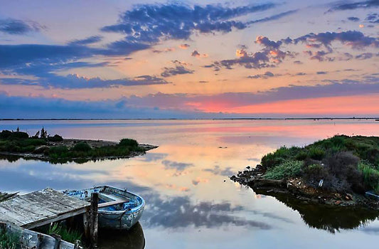Excursión Delta del Ebro