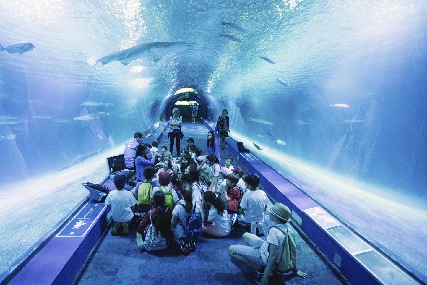 EXCURSIÓN OCEANOGRÁFICO
