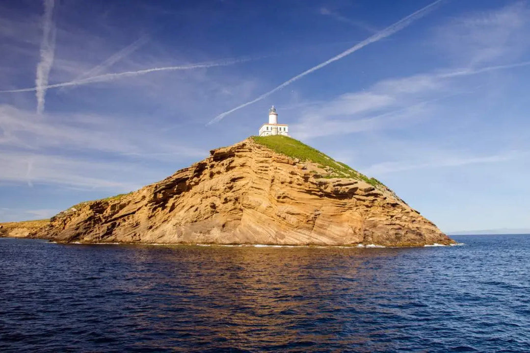 Columbretes Islands by catamaran.
