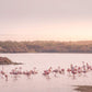 EXCURSIÓN DELTA DEL EBRO