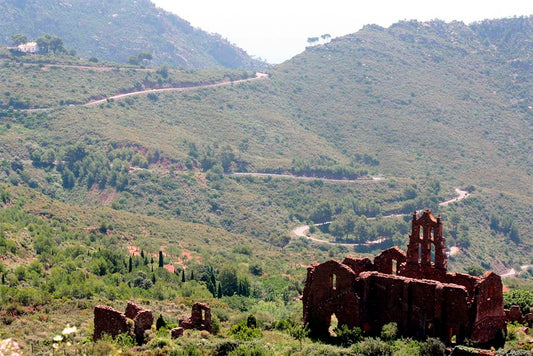Excursión Desierto de Las Palmas
