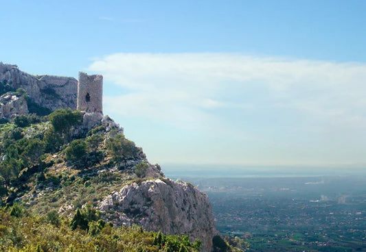 Excursión Desierto de Las Palmas