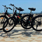 E-Bike-Go-Alquiler-bici-Javea.jpg