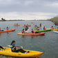 KAYAK DELTA DEL EBRO