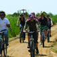 Paseando-por-los-senderos-arenosos-del-Delta-del-Ebro.-Foto-Tina-Bague-Turismo-de-Cataluña.jpg