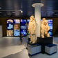 PLANETARIO CASTELLÓN