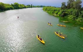 KAYAK DELTA DEL EBRO