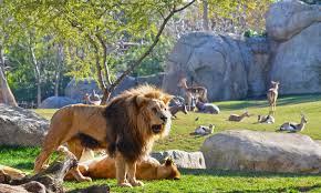 EXCURSIÓN BIOPARC