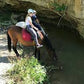 MONTAR A CABALLO EN LA NATURALEZA