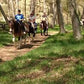 MONTAR A CABALLO EN LA NATURALEZA