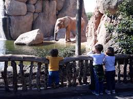 Excursión Bioparc