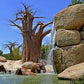 EXCURSIÓN BIOPARC