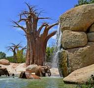 EXCURSIÓN BIOPARC