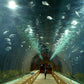 EXCURSIÓN OCEANOGRÁFICO
