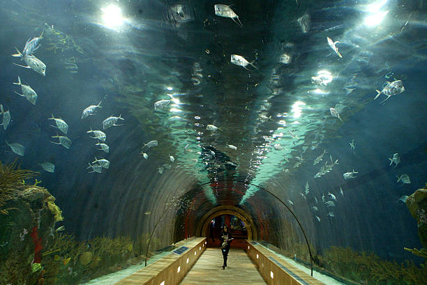 EXCURSIÓN OCEANOGRÁFICO