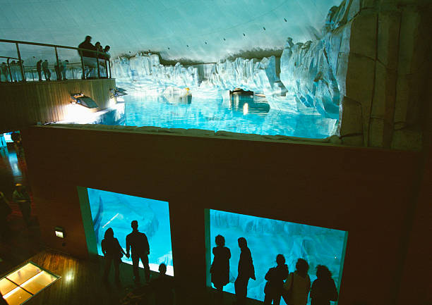 EXCURSIÓN OCEANOGRÁFICO