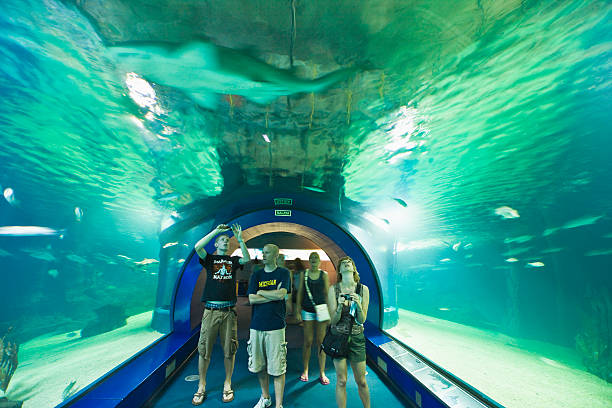 EXCURSIÓN OCEANOGRÁFICO