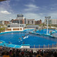 EXCURSIÓN OCEANOGRÁFICO