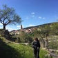 TREKKING POR "ELS PORTS"  MORELLA