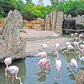 EXCURSIÓN BIOPARC