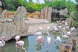 EXCURSIÓN BIOPARC