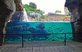 EXCURSIÓN BIOPARC