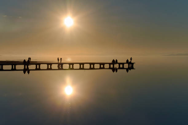 istockphoto-1245074511-612x612.jpg