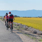 istockphoto-1280127276-612x612.jpg