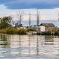 istockphoto-893701410-612x612.jpg
